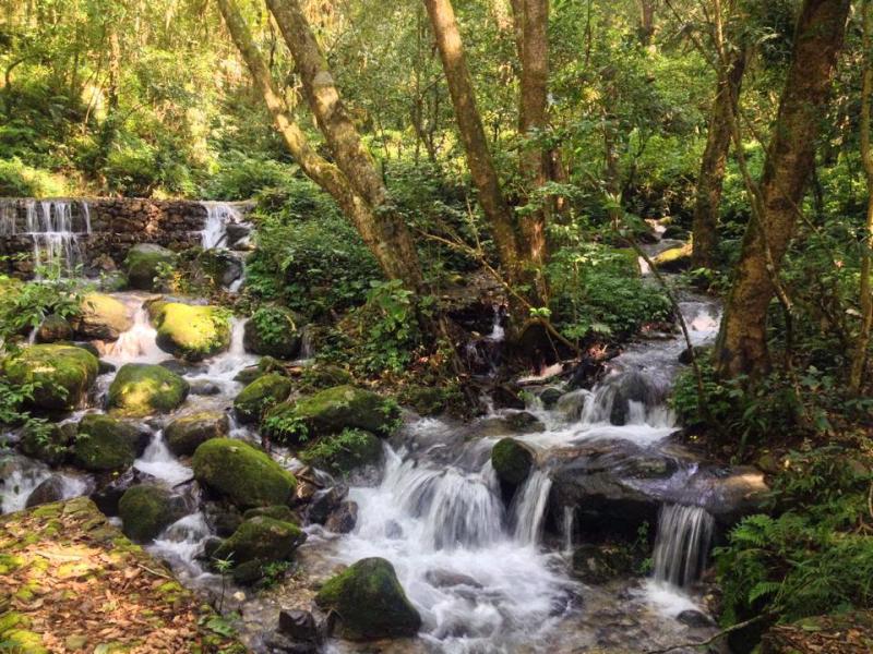 Kakani- Shivapuri- Chisapani - Nagarkot- Dhulikhel Trek - 08 Days