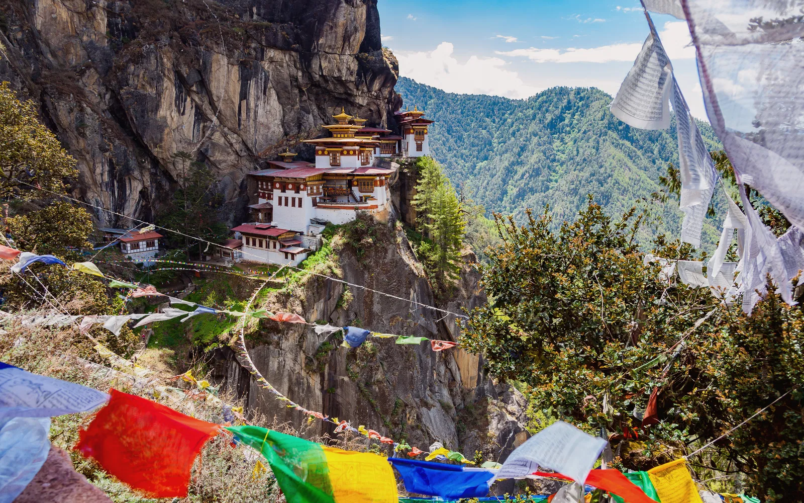 Druk Path Trekking-12 Days