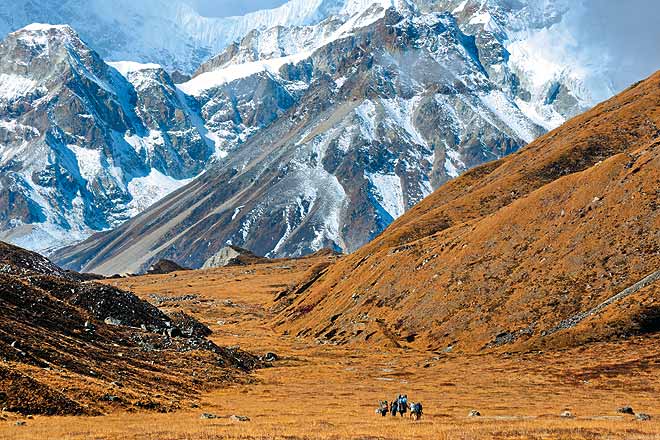 Sikkim Kanchenjunga Trek-11 Days